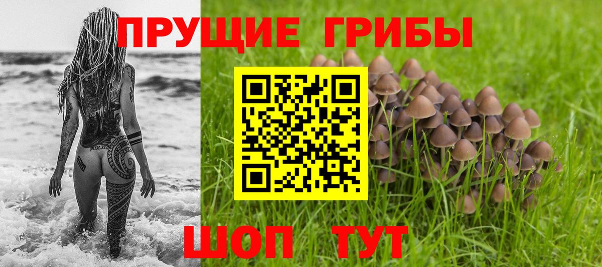 Галлюциногенные грибы Magic Shrooms Мыски