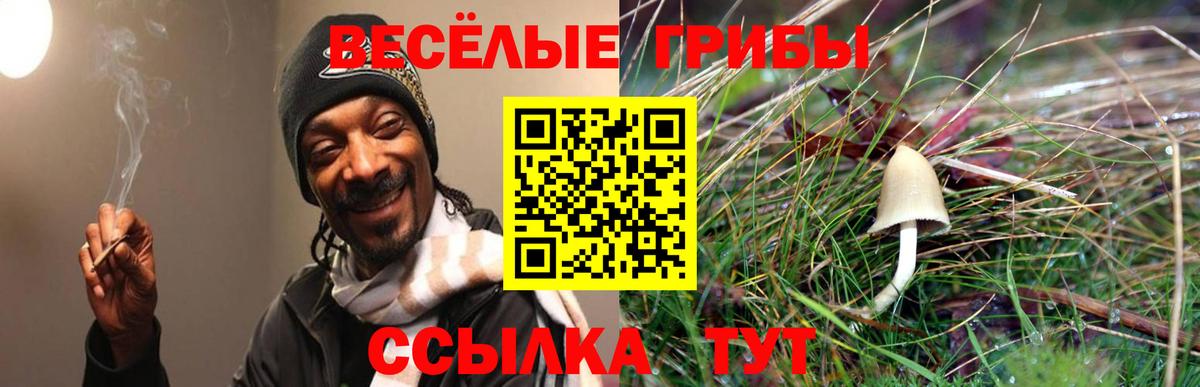 Мыски  Галлюциногенные грибы MAGIC MUSHROOMS  Вход с VPN 